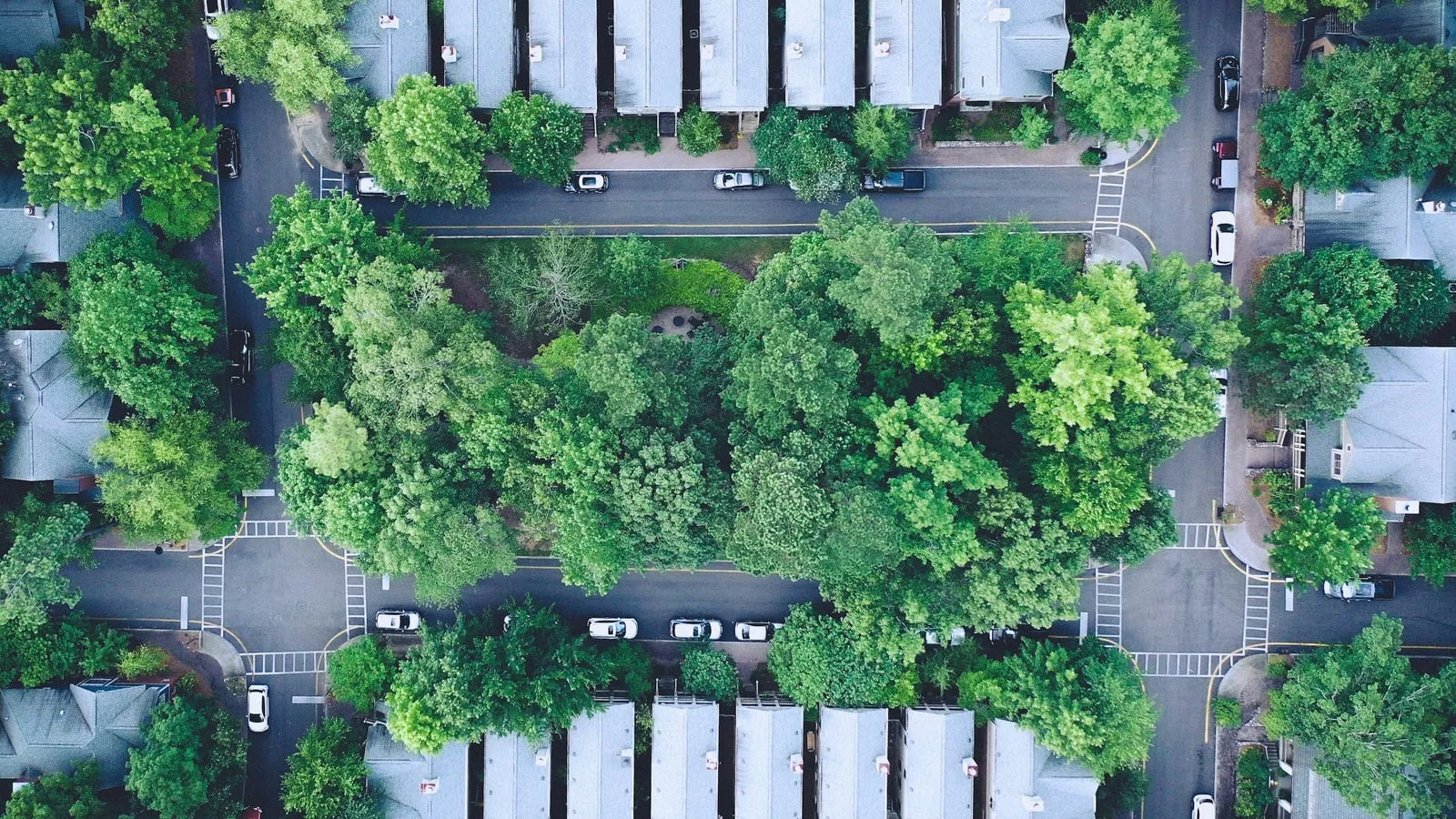 An overhead view of a tree-lined residential street, houses and parked cars below.