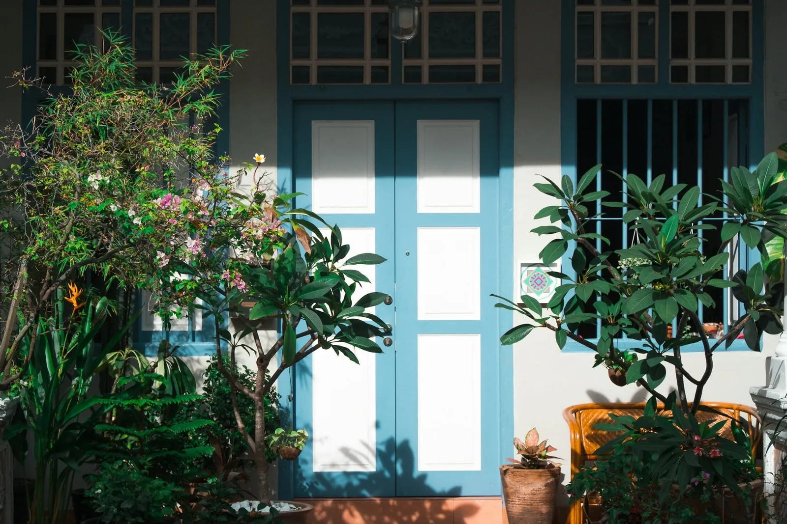 The front of a house with blue doors and windows, framed by potted plants.